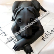 Black Labrador Cake