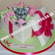 Cat in the Present Box Cake